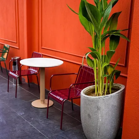 Soho * Сельчук